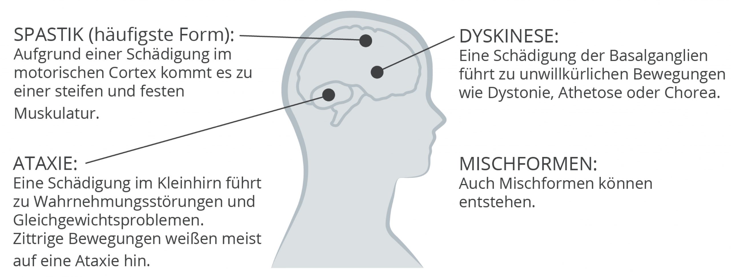 Unbenannt-1